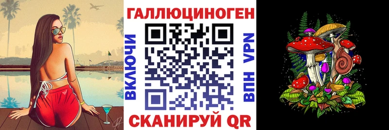 Псилоцибиновые грибы Psilocybe  KRAKEN вход  Шилка 