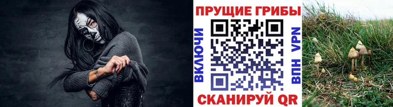 Галлюциногенные грибы MAGIC MUSHROOMS Шилка